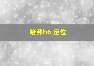 哈弗h6 定位